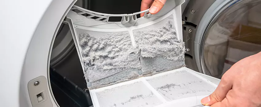 Best Dryer Lint Removal Company in East Hemet, California