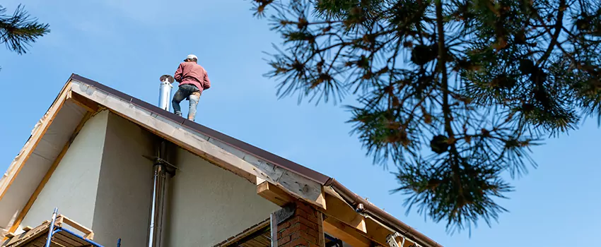 Birds Removal Contractors from Chimney in East Hemet, CA